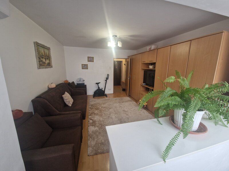 Drumul Taberei, Favorit,