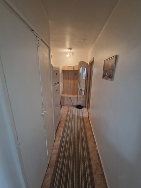 Drumul Taberei, Favorit,